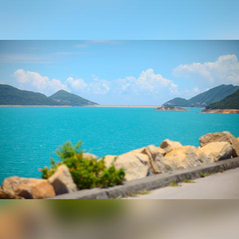 恢复118论坛网之家|实地解答解释落实_网页款.4.698