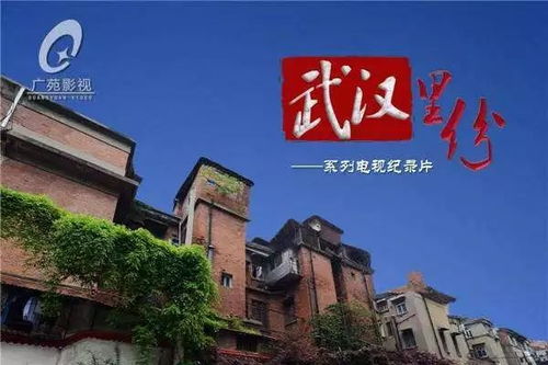 大三巴免费资料大全|前沿研究解释落实_扩展版.9.535