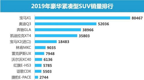 2024新澳门精准免费大全图片|数据分析解释落实_tool.2.628